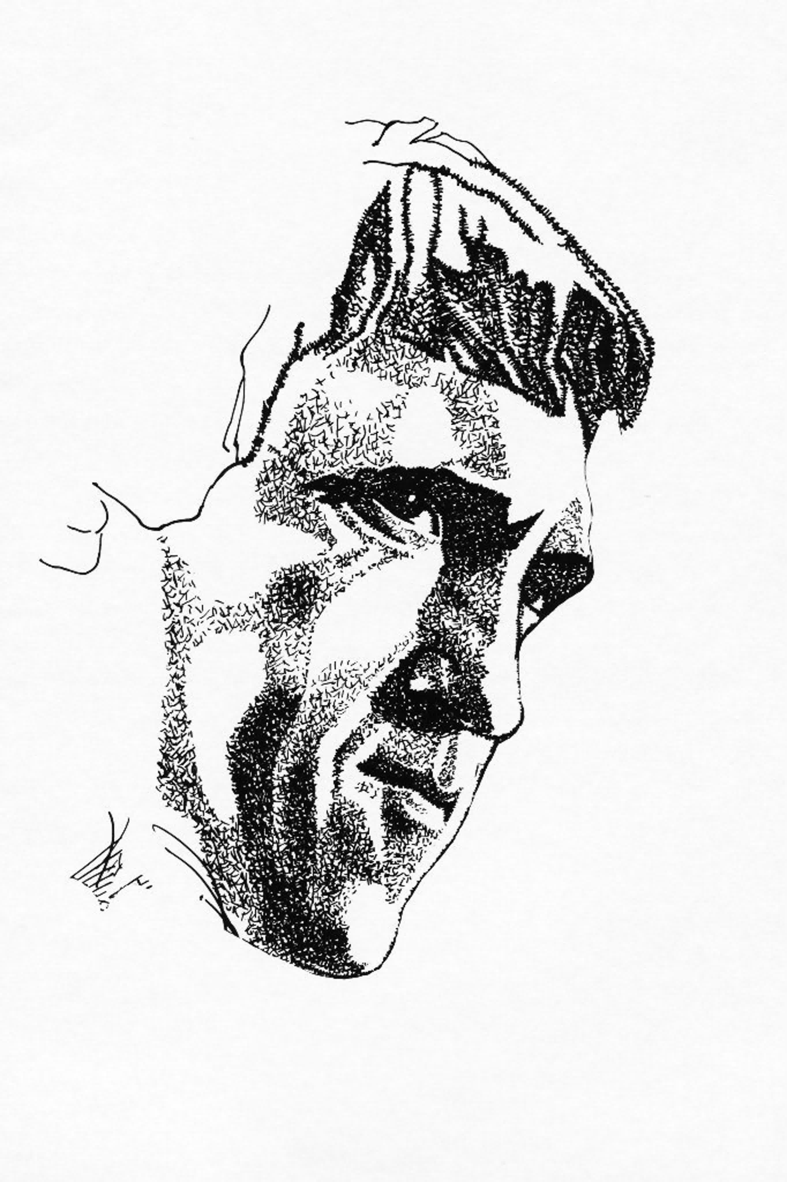 Высоцкий в кино