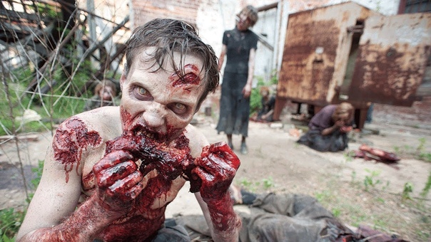 1 сезон съёмки