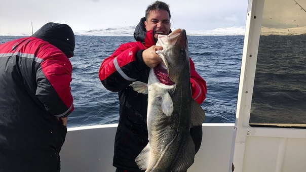 Норвегия 22.05.2017