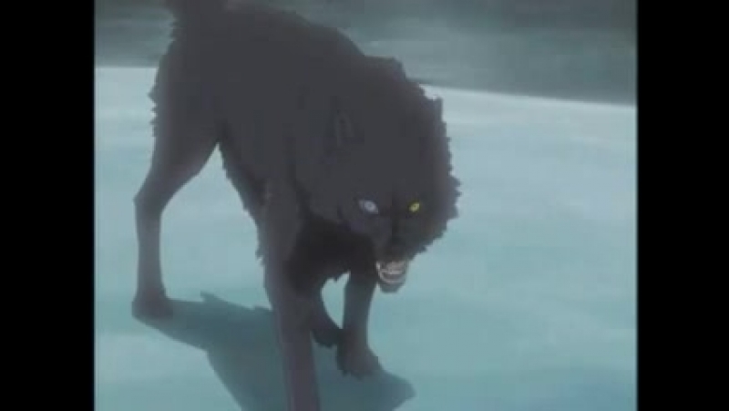 Волчий Дождь / Wolf's Rain