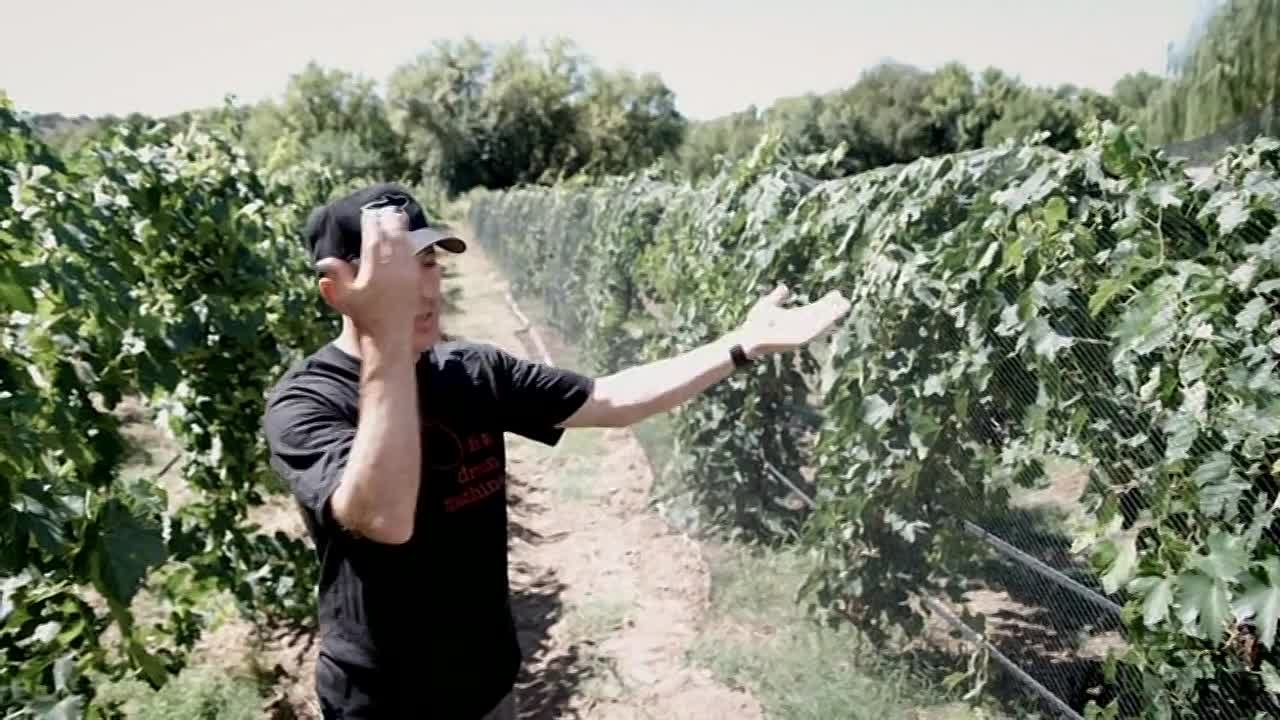 Полнометражки (озвучено в 2014)