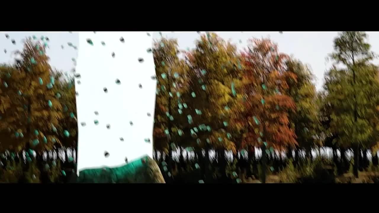 S.T.A.L.K.E.R. Клипы