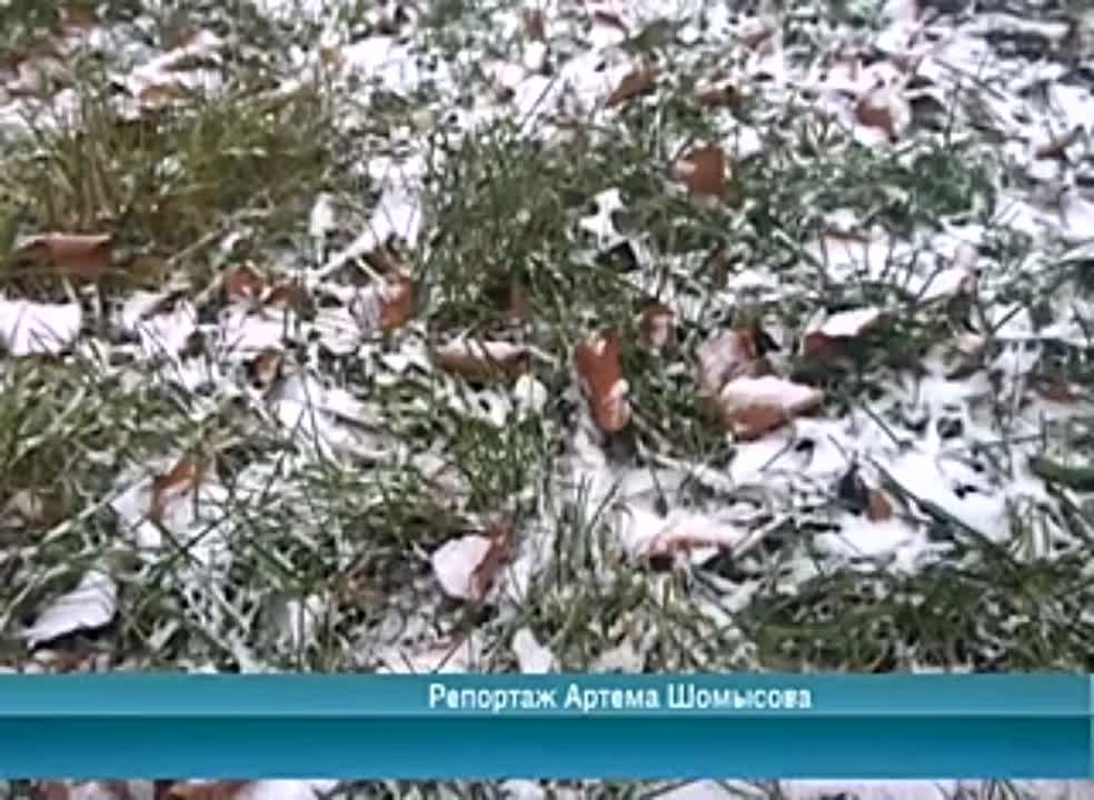 Календарь / 01.12.2014 г.