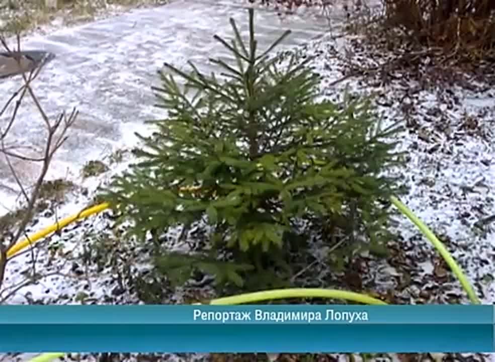 Календарь / 28.11.2014 г.
