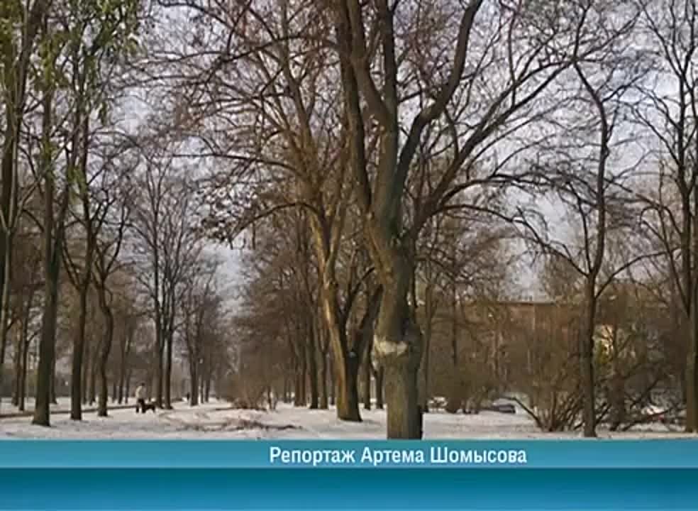 Календарь / 21.11.2014 г.