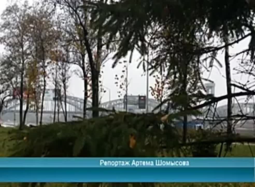 Календарь / 05.11.2014 г.