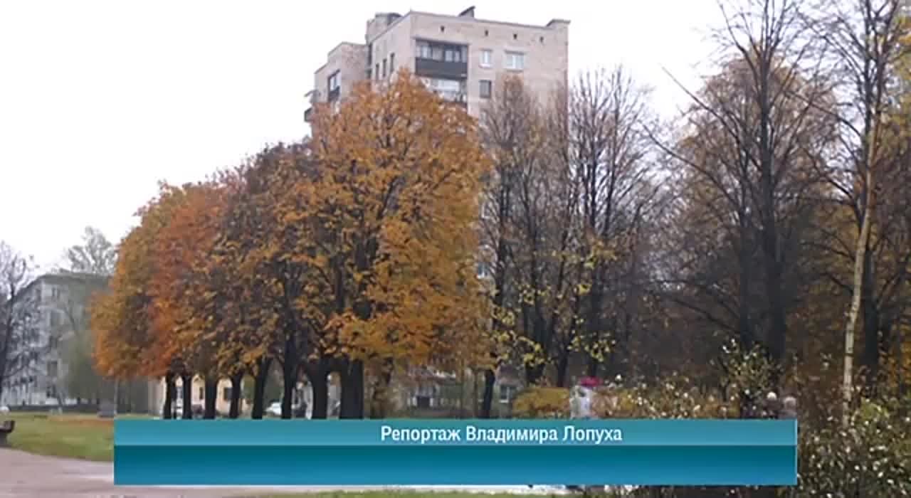 Календарь / 29.10.2014 г.