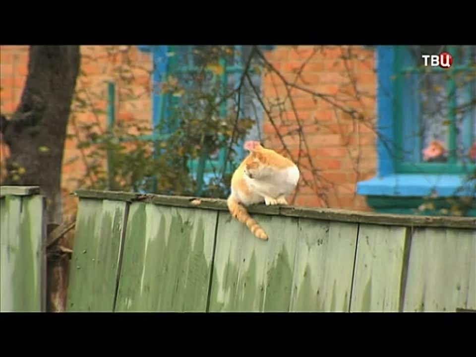 Календарь / 09.04.2014 г.