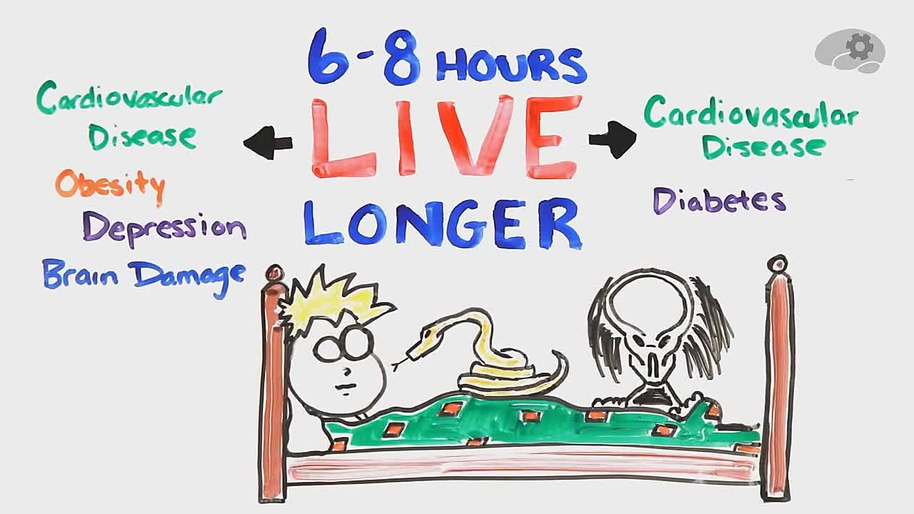 Документальные фильмы