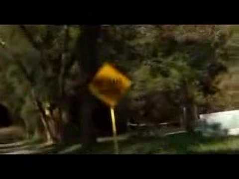 MS13: The World's Most Dangerous Gang