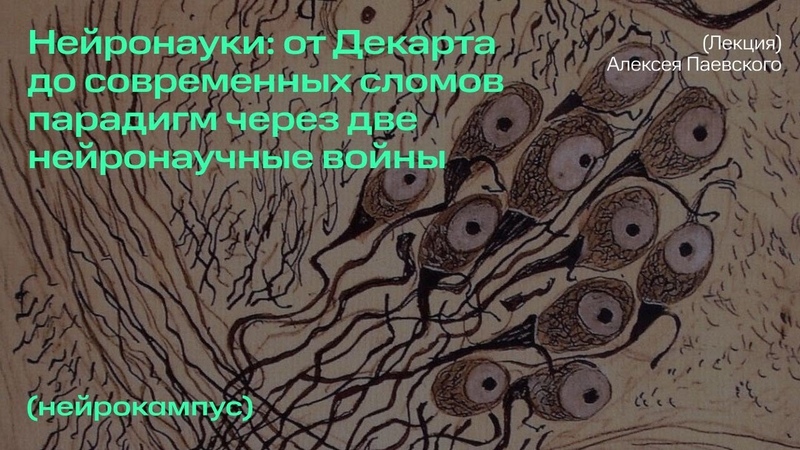 Мозговедение