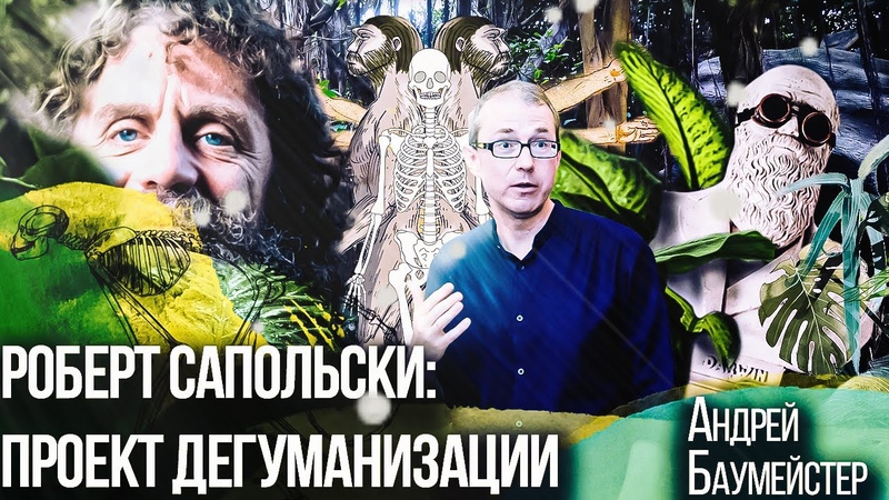 Aндрей Баумейстер. Философия.