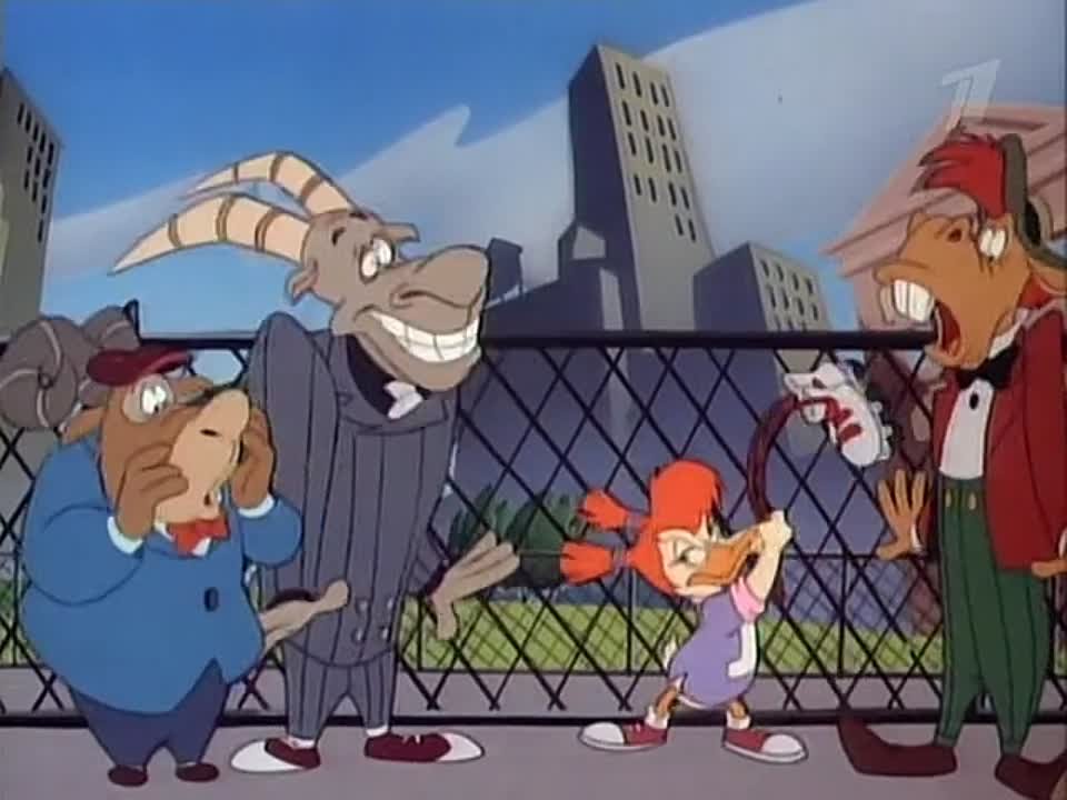 Темнокрылый селезень.