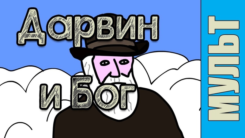 Шутки. Мудрость. Светлота.