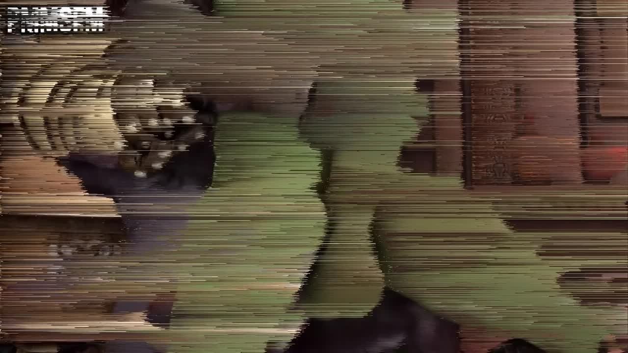 PMMSFM