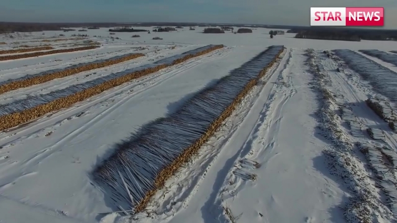 Политика \ Общество