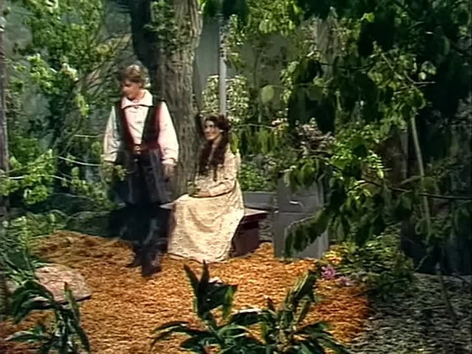 Телеспектакли (1971-1980гг)