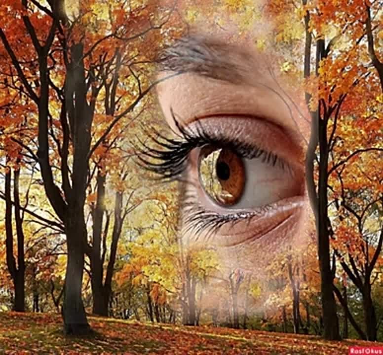 * Валерий Фадеев *