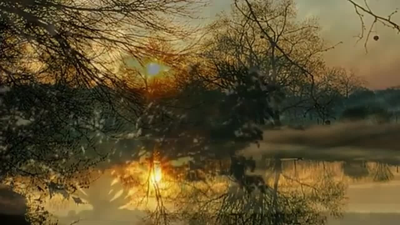 * Олег Чуприн *