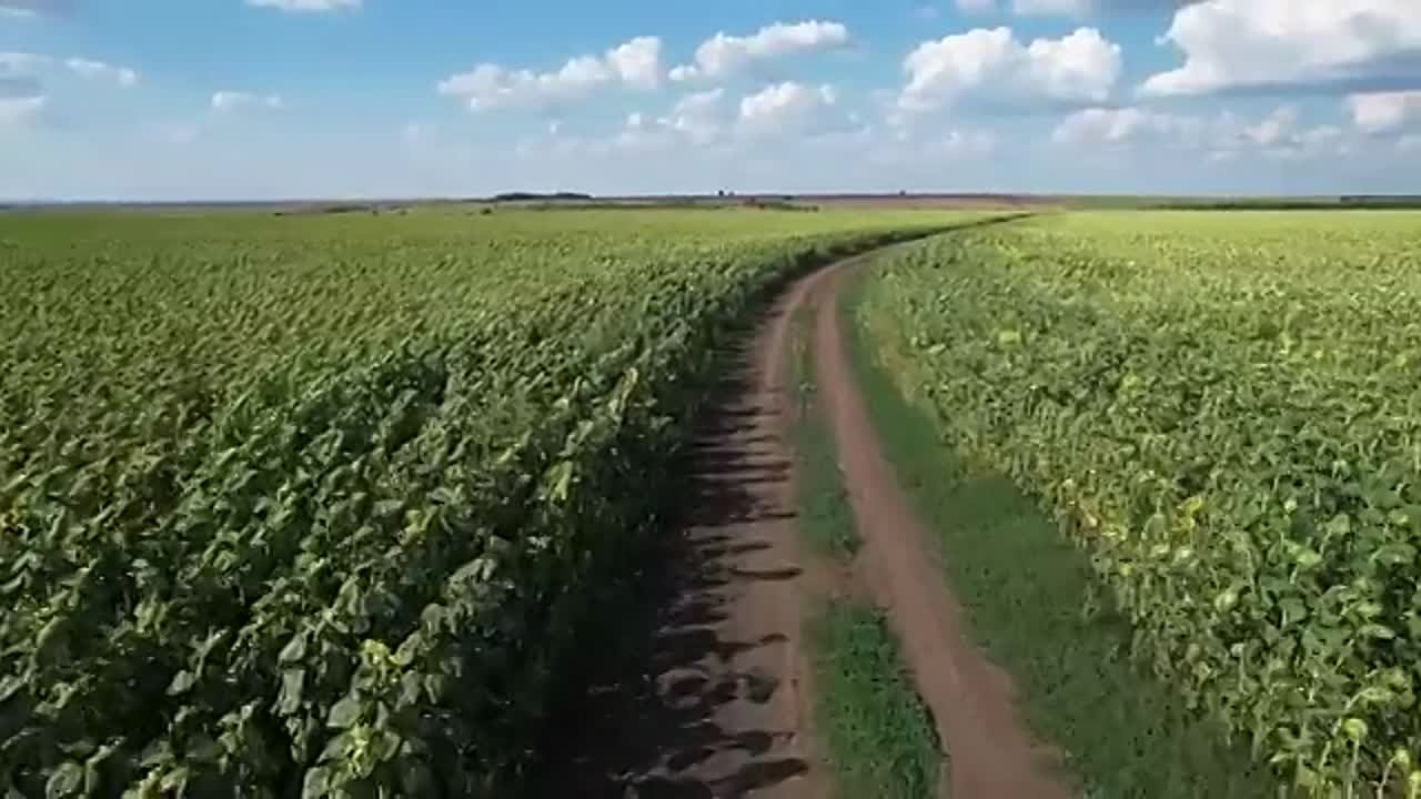 * Игорь Растеряев *