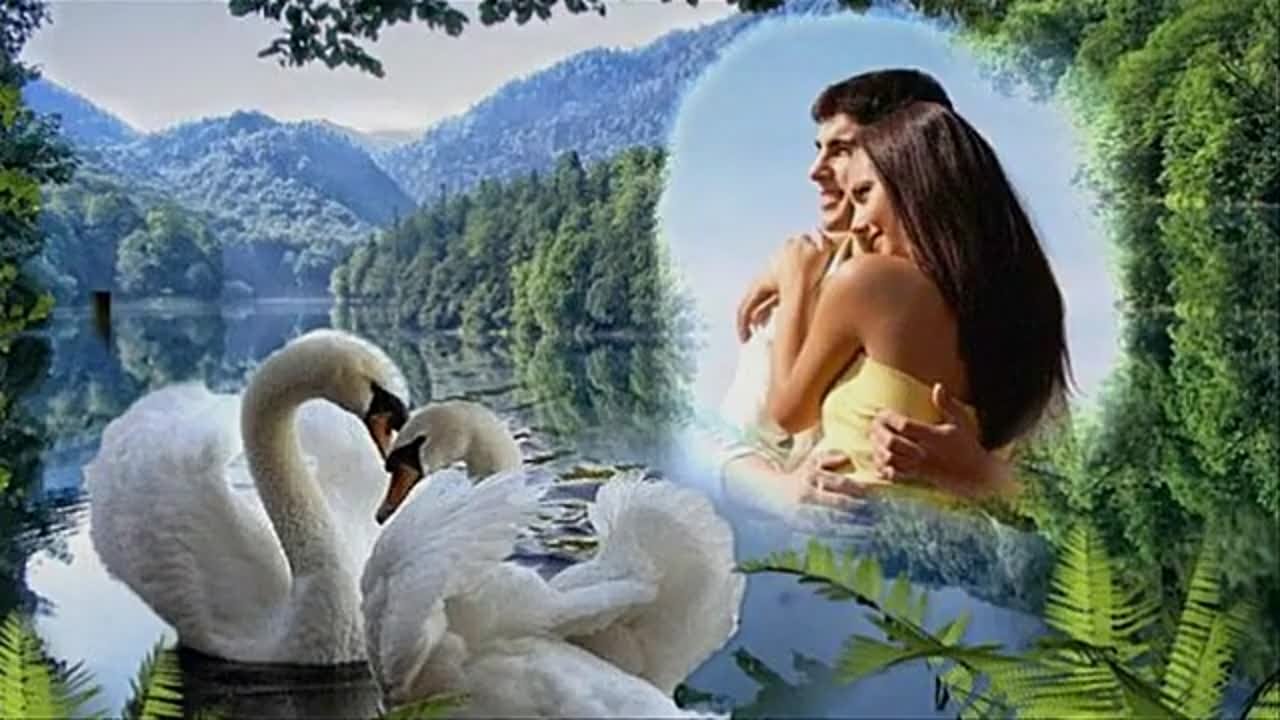 * Александр  БАРДИН *