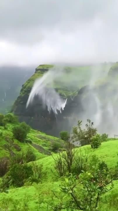 Избранное India-Goa.Today | Индия-Гоа.Сегодня