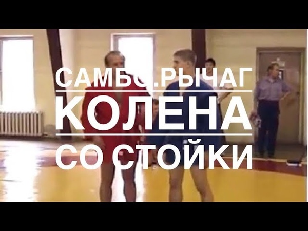 Тренировки, семинары, самоучители.