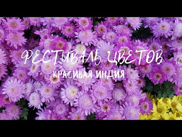 ПОЗДРАВЛЕНИЕ