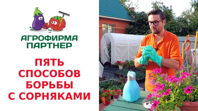 ЦВЕТЫ Полезные советы для дачи и цветов дома