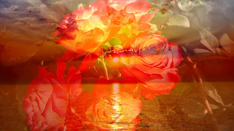 ОЛЕГ БОБКОВ !!! ЧУДЕСНЫЕ ПЕСНИ !!!