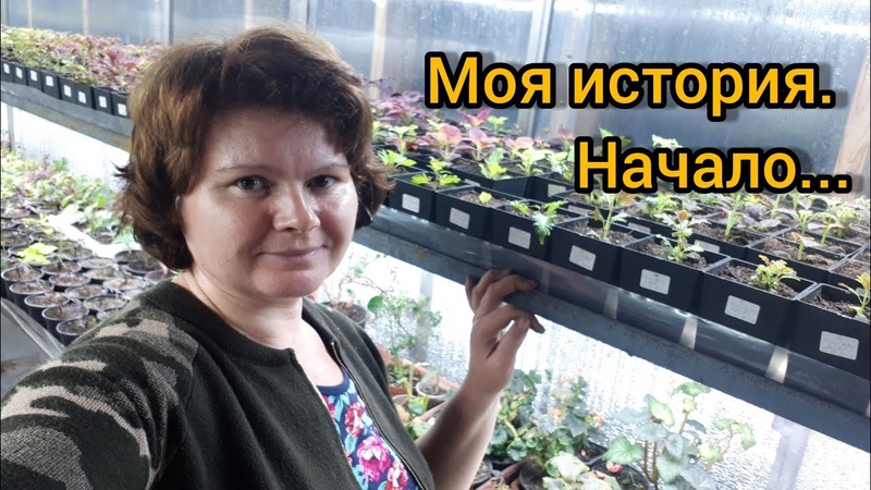 ЭКЗОТИЧЕСКИЕ  И РЕДКИЕ РАСТЕНИЯ  ...