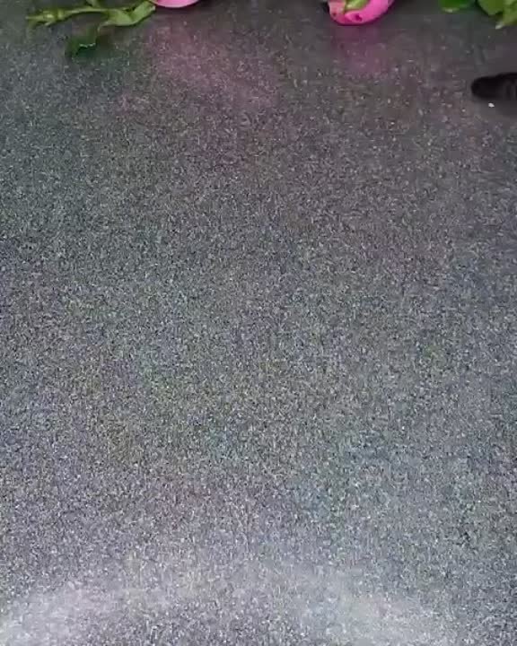 ВСЁ ИЗ ФАРША !