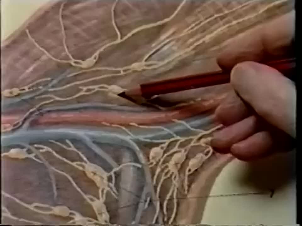 ЗДОРОВО !!!!!!!