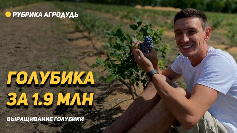 ЯГОДНЫЕ КУЛЬТУРЫ