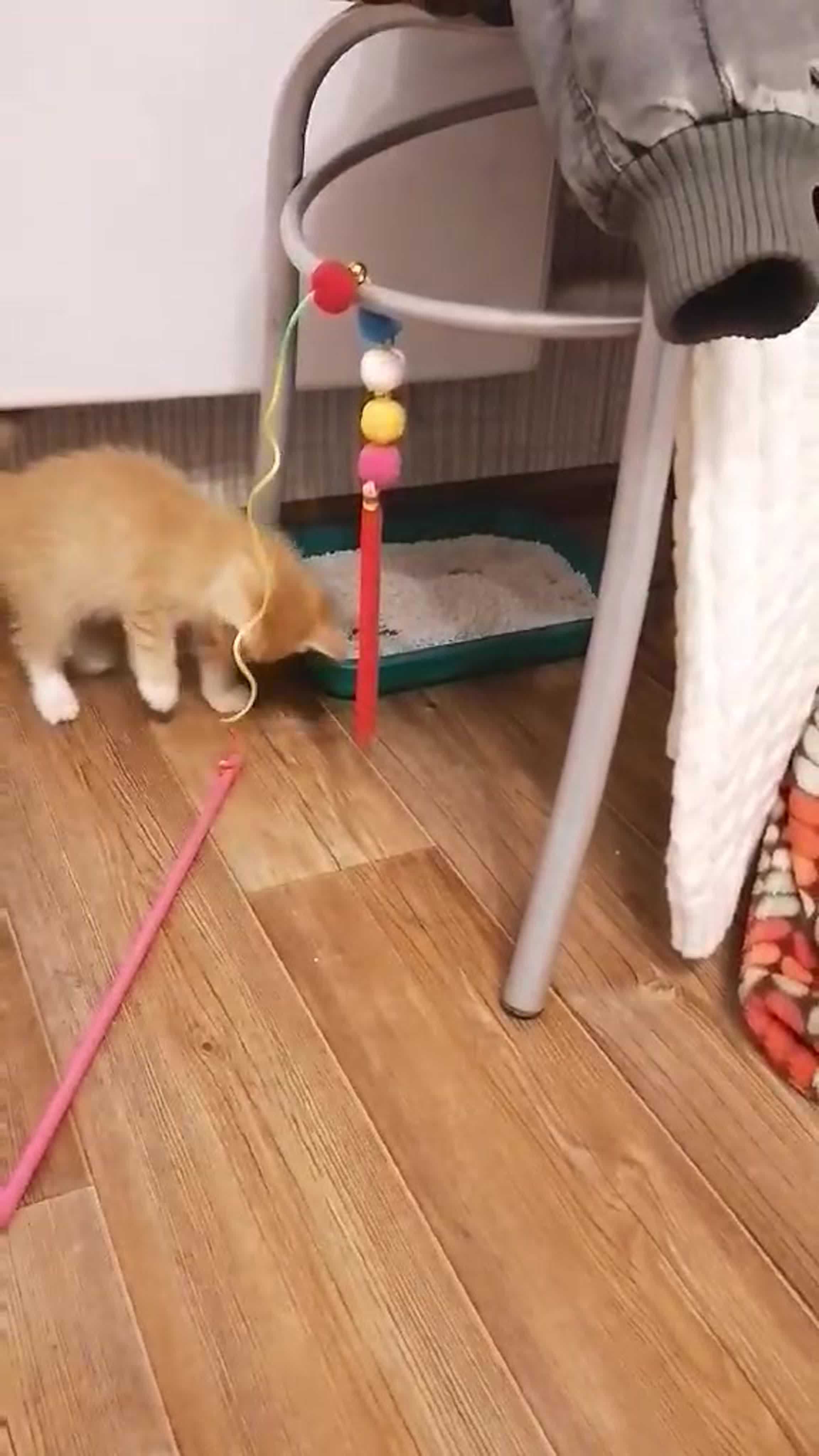 Приветы из дома