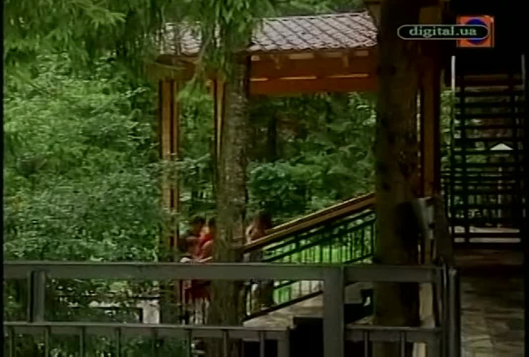 Полосатое лето