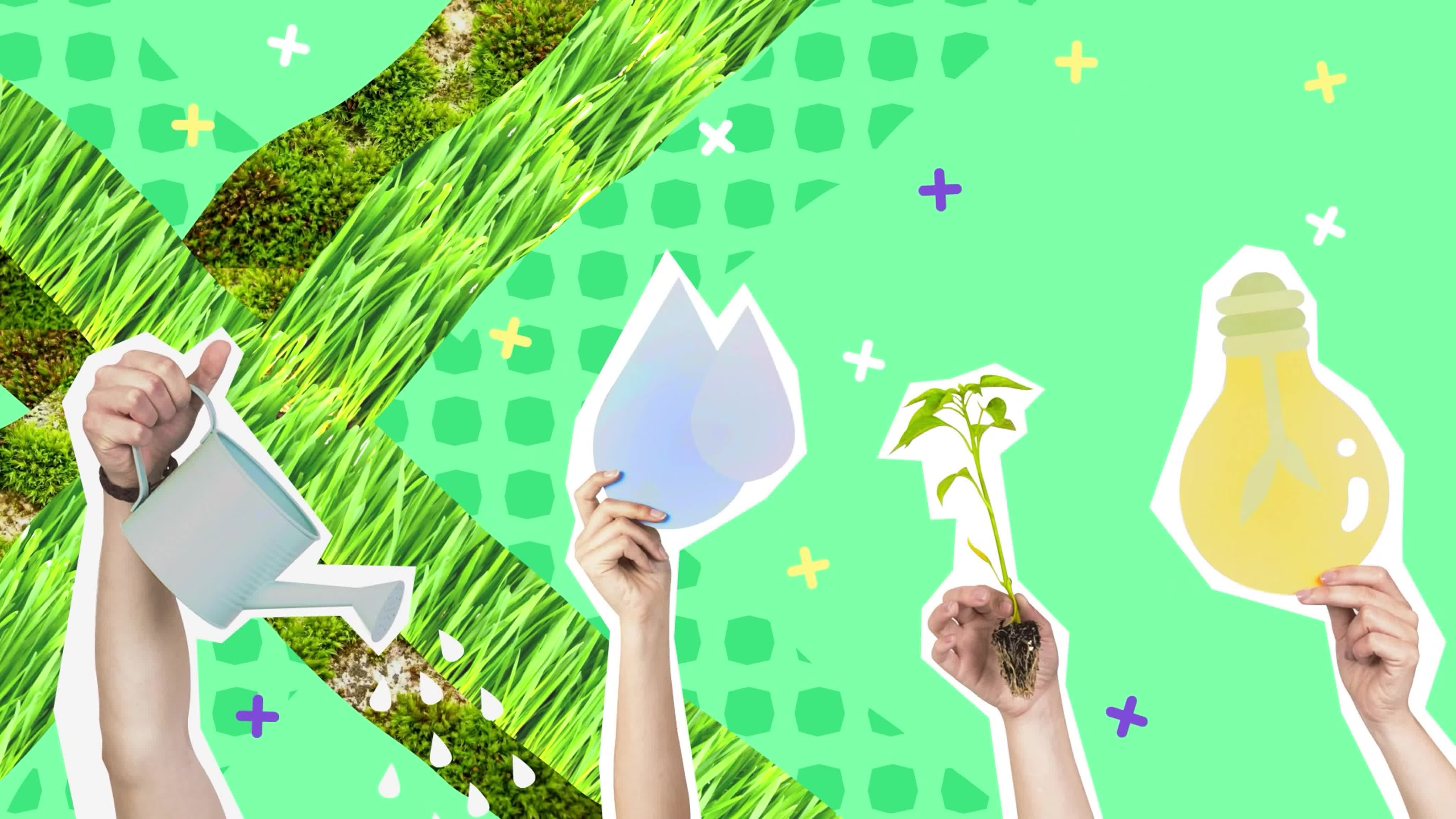 Сохраняй природу!