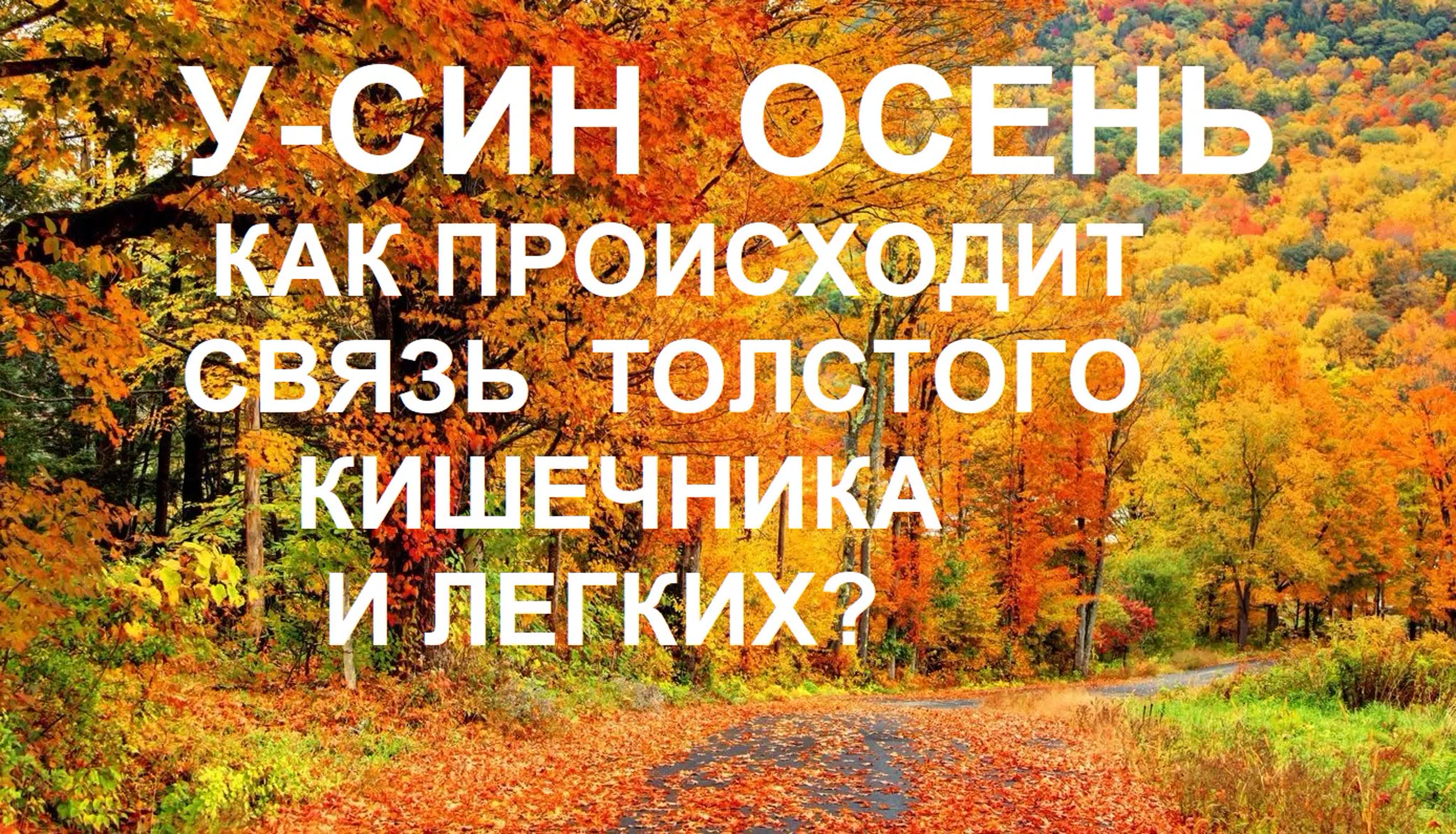 Очищение организма