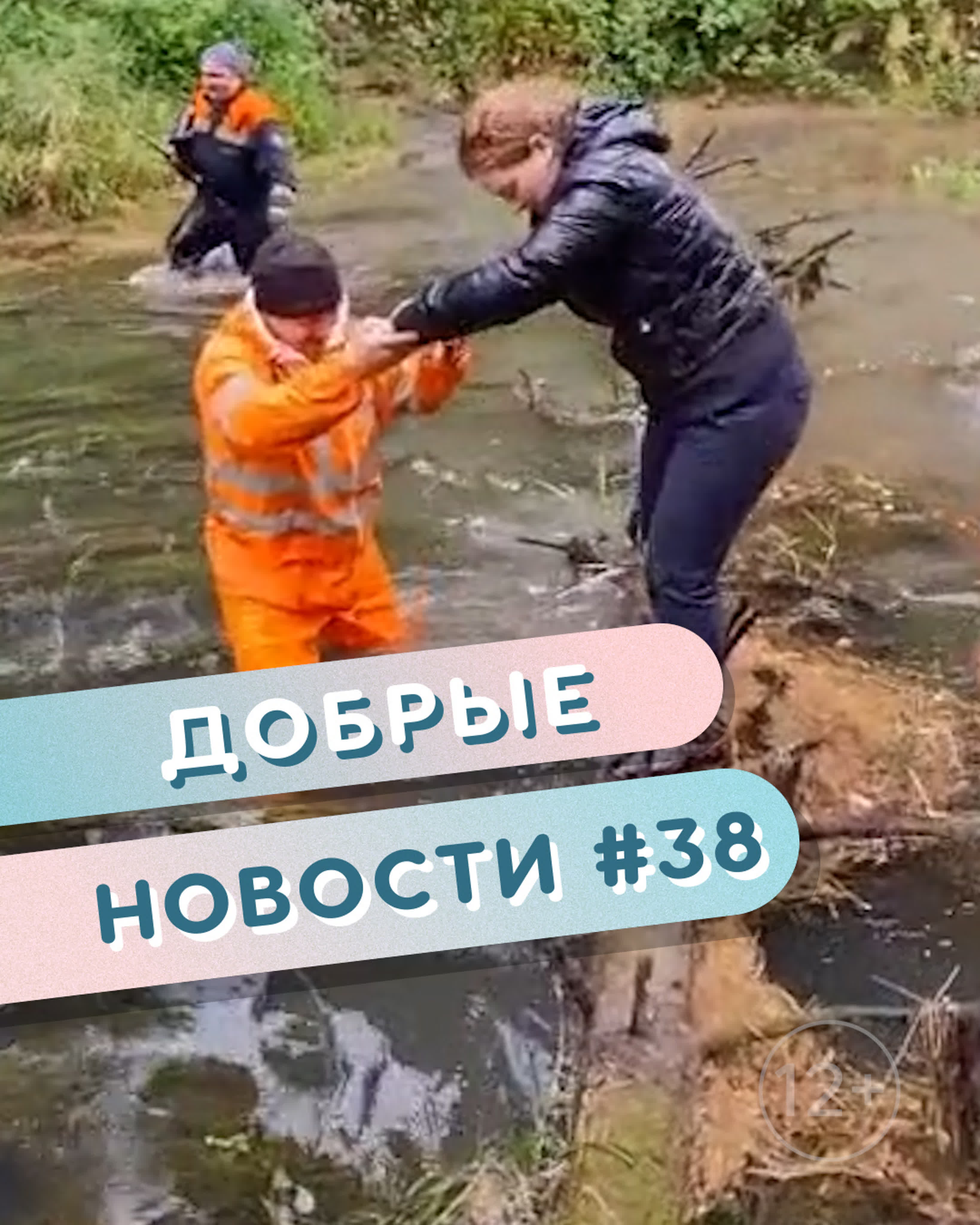 Добрые новости