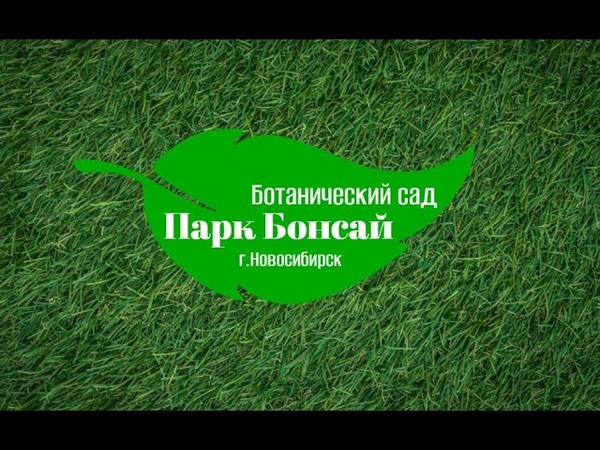 Портрет города Новосибирска