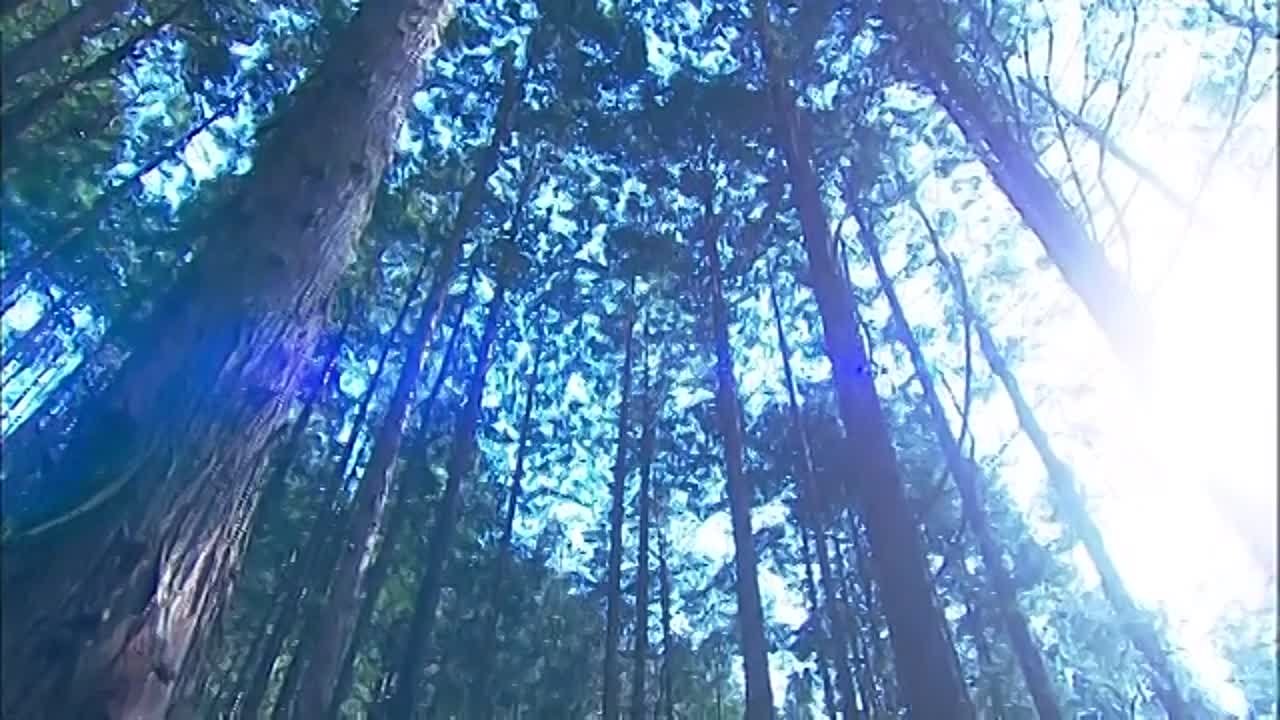 Абсолютный ноль [HD] (Япония, 2010)