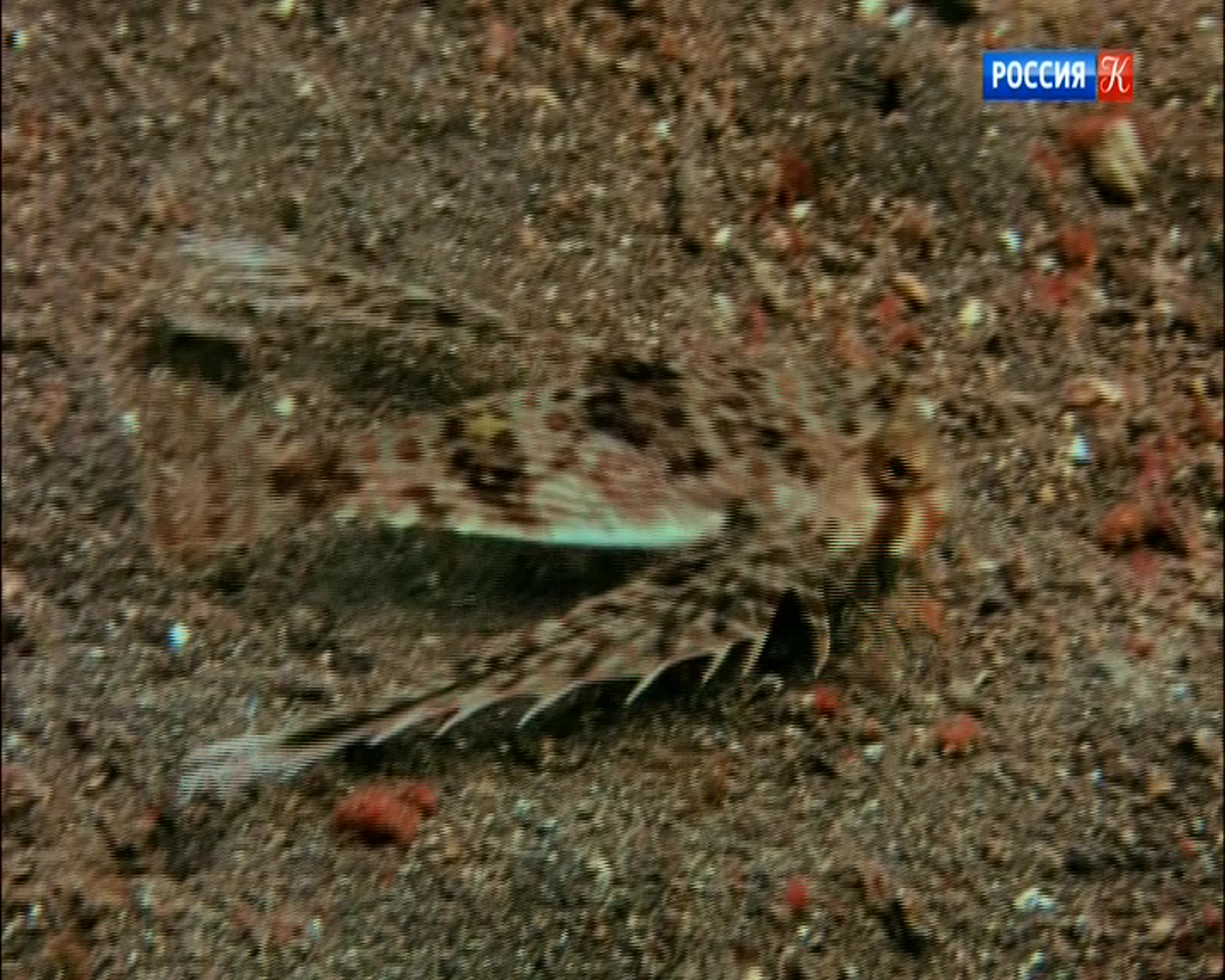 Космос. Пространство и время