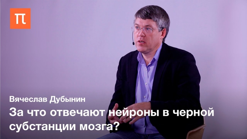 Дубынин
