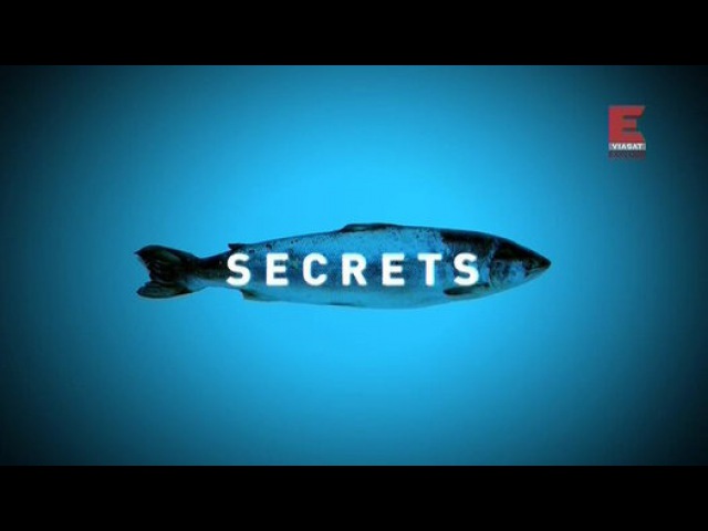 Раскрывая секреты (2012)