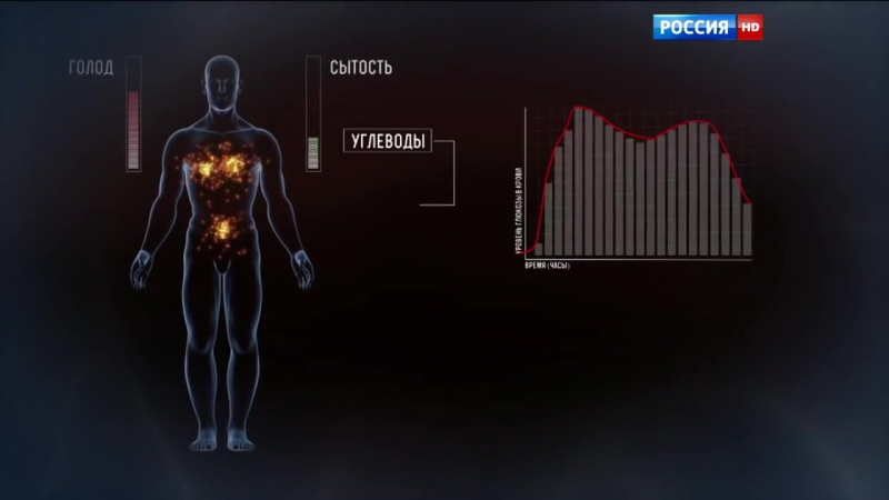 Химия нашего тела