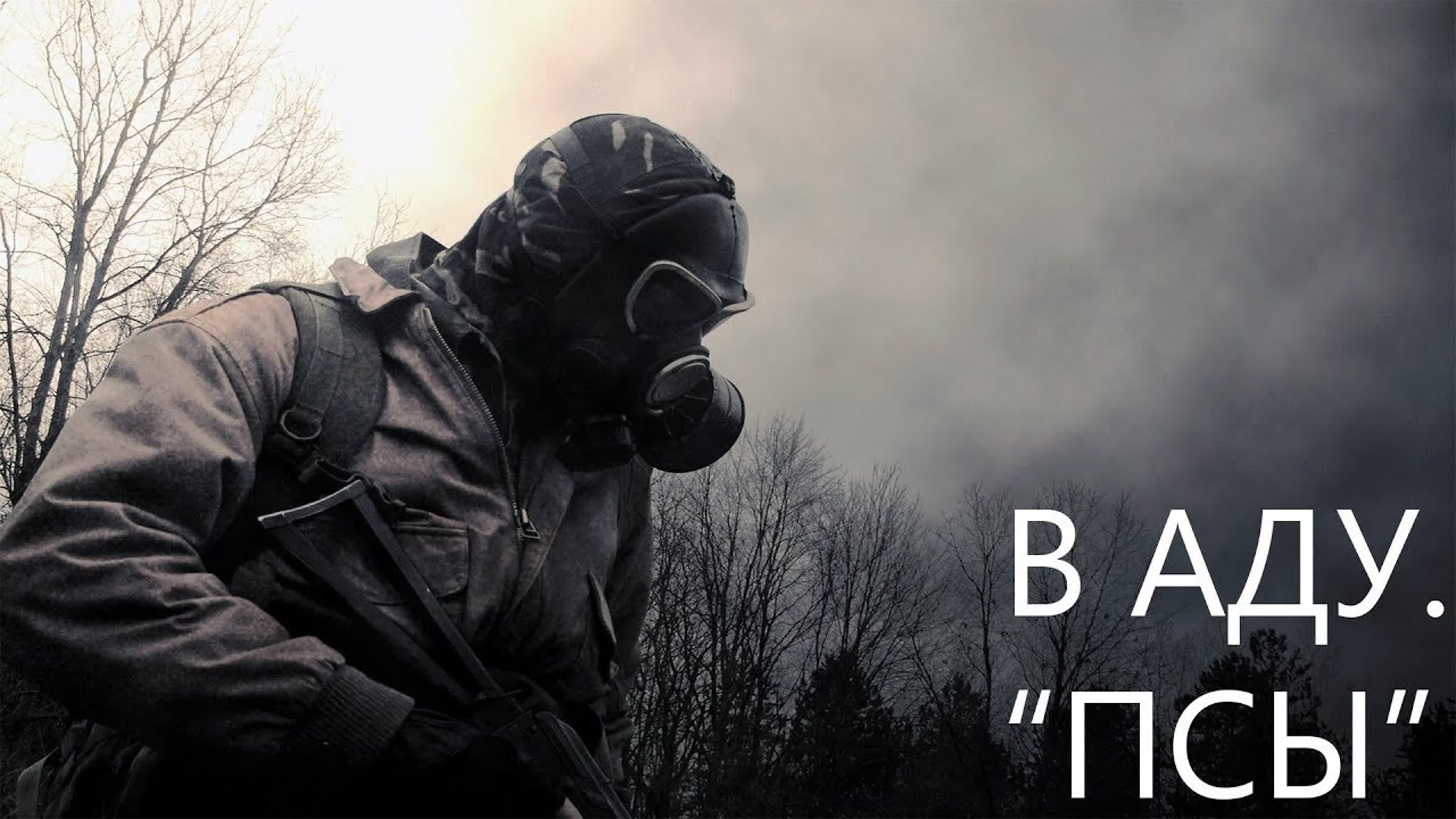 STALKER ТЕНЬ ЧЕРНОБЫЛЯ В АДУ..."ПСЫ"