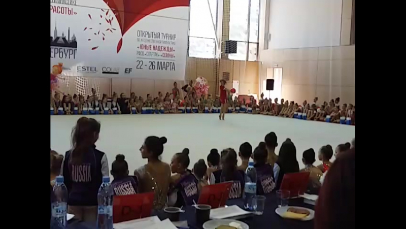 Санкт-Петербрг(Мюзик холл, соревнование и гала-концерт по художественной гимнастике)