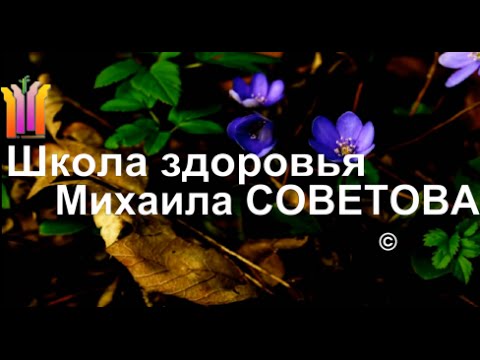 Школа Здоровья Михаила СОВЕТОВА