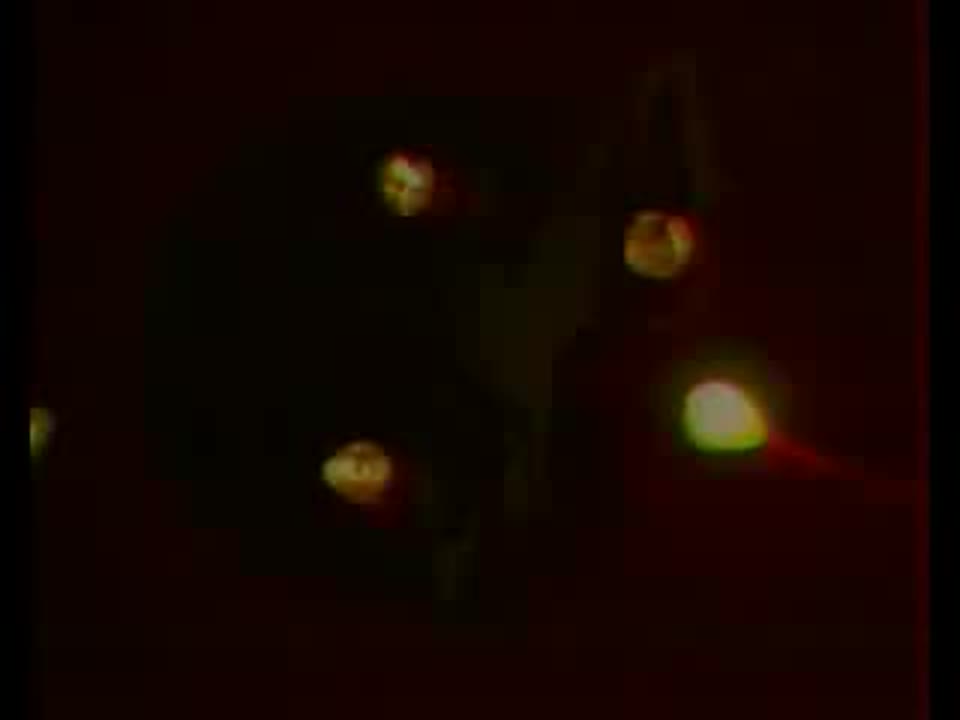 Serge Gainsbourg + Jane Birkin + Francoise Hardy + Anna Karina = ...