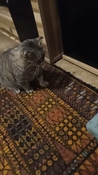 Джесс, Сима...